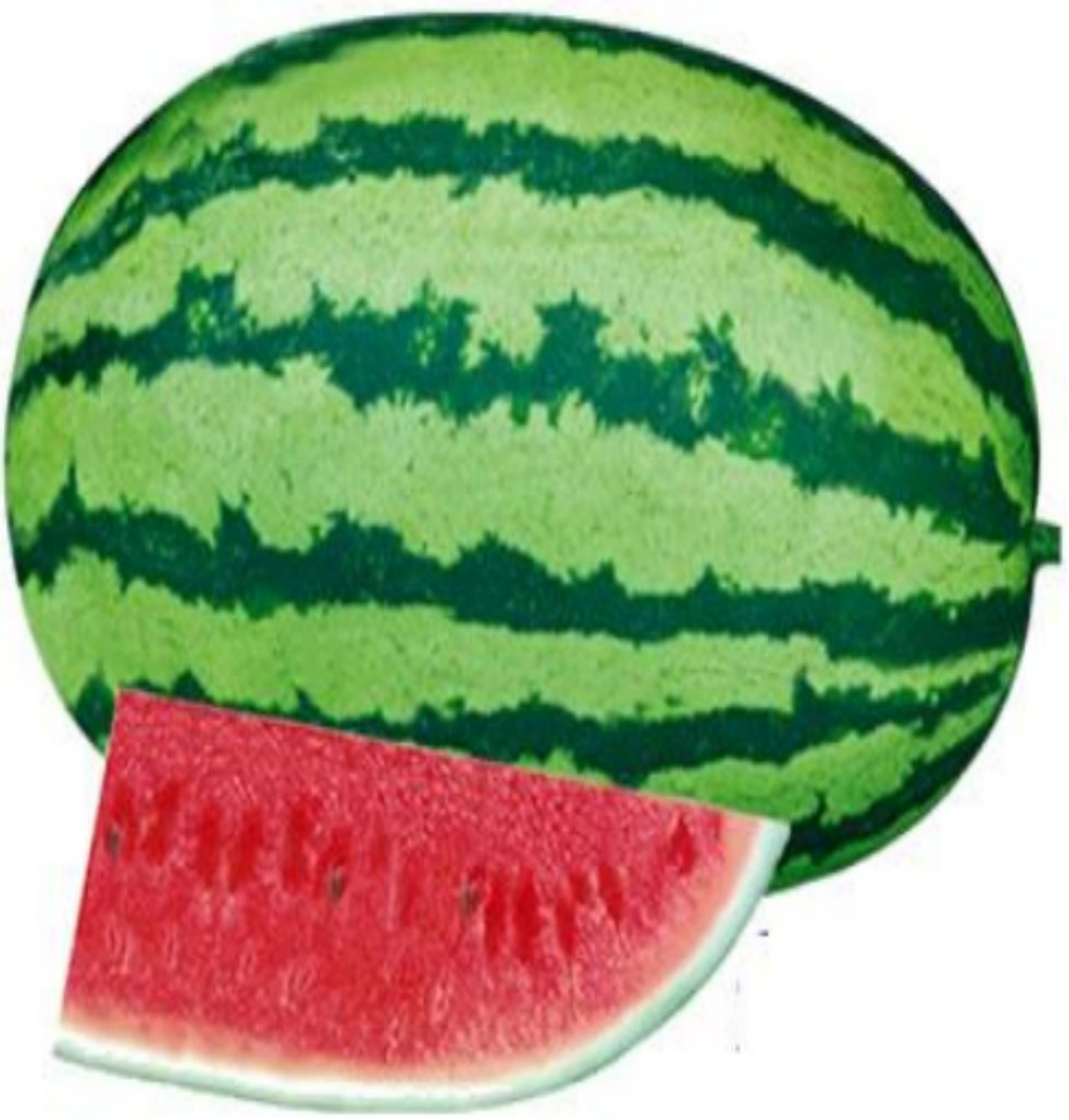 TOP Emperor 8th Diploid Watermelon Seeds
