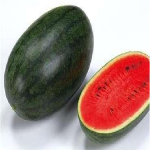 TOP Black Beauty Diploid Watermelon Seeds