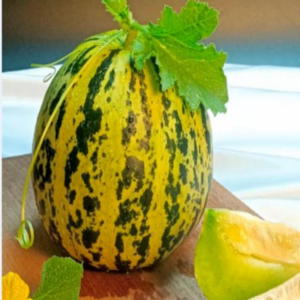 TOP Flower Beauty Hybrid Melon Seed