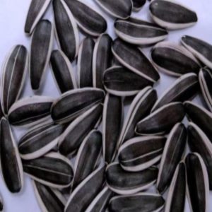TOP NO.8 Edible Sunflower Seeds