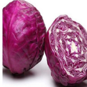 TOP ZY Cabbage Seeds