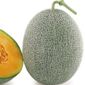 TOP Red Jombo No.2 Melon Seed