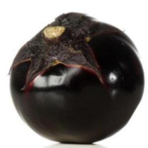 TOP Round Eggplant Seeds