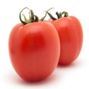 TOP TS NO.13 Tomato Seeds