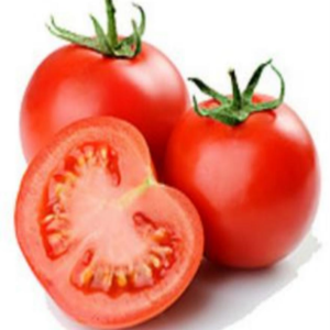TOP TS No.16 Tomato Seeds