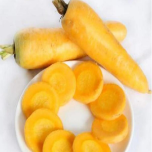 TOP Yellow Carrot Seeds