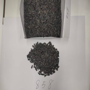 TOP 858 Oil Sunflower Seeds